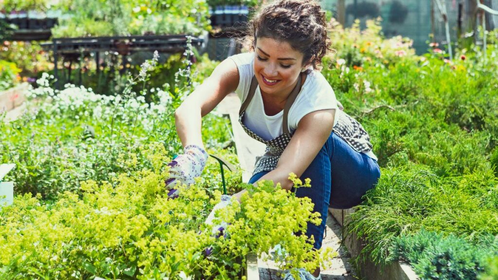 Jardinería doméstica